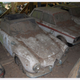 Illustration for article titled All 700+ Historischer Autofriedhof Gürbetal Cars To Be Sold!